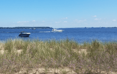 Service Section Image 1